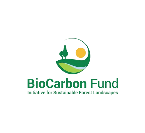 BioCarbon